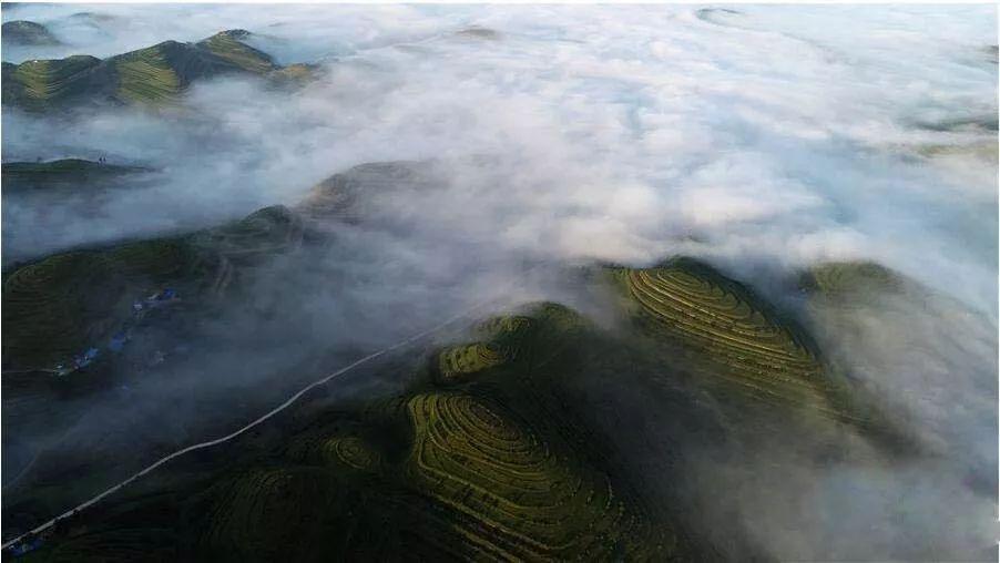 英雄悟空